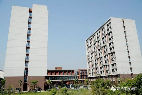 走進(jìn)松江大學(xué)城 探秘上海重大工程建設(shè)下的最美校園新篇章