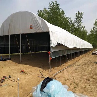 九江地區養殖大棚設計及建設工程方案要點解析