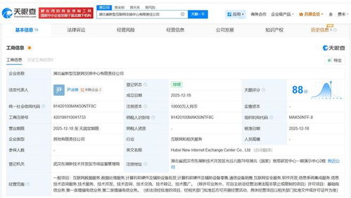中國電信等企業在湖北成立新型互聯網交換中心公司，賦能數字經濟新生態